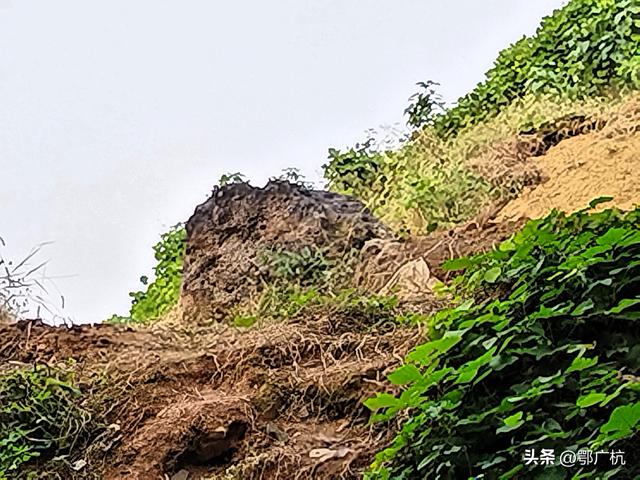 独山的故事（3）