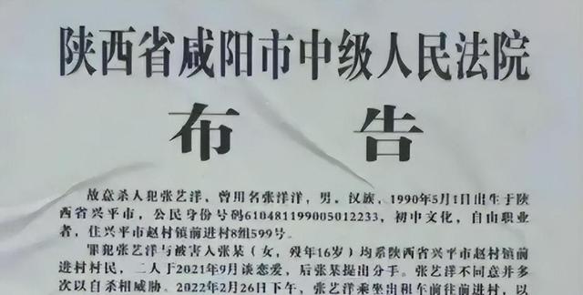 知名演员张艺洋已枪毙！中国娱乐圈首例，倪大红、李雪健被牵连