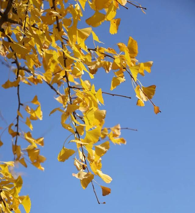 丹徒这几条路，真不想让太多人知道！