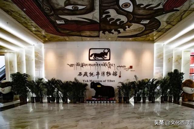 前往布达拉宫、纳木错等景区的游客注意啦！