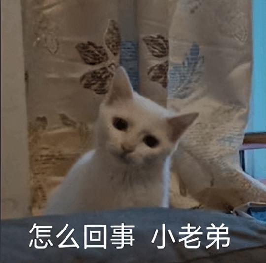 高端化之后，小米有了新的野心