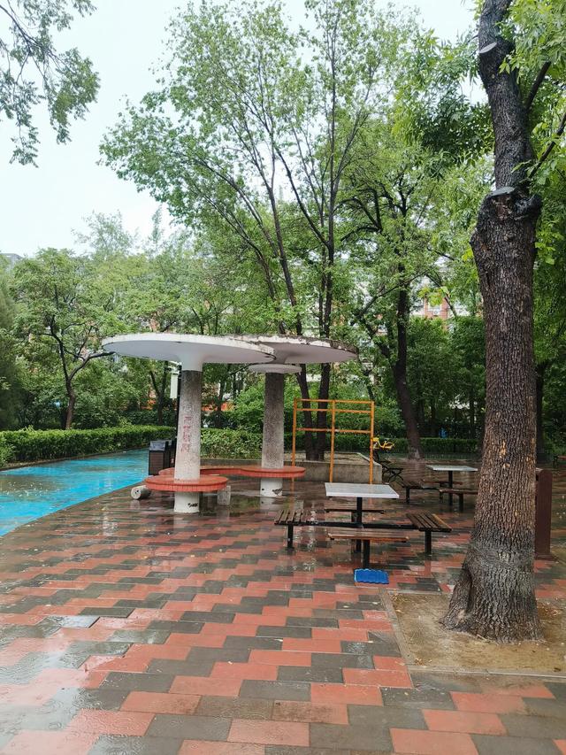天津雨中的《红光公园》