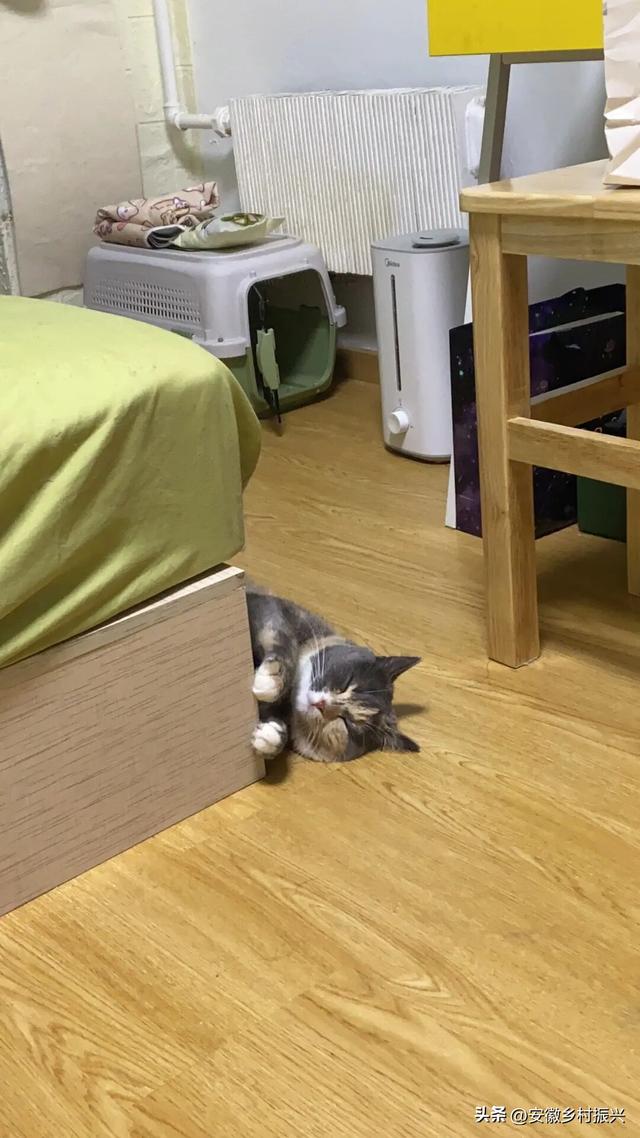 8月，「渴望自由，像治不好的病」