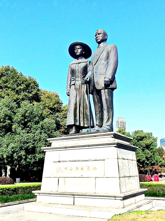 中山公园的菊花