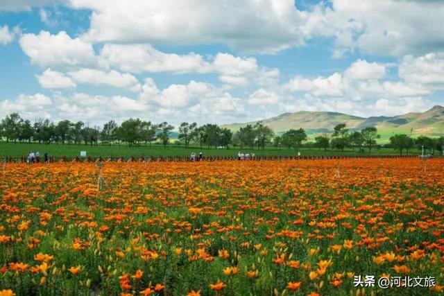 喜报|我市新增4家3A级旅游景区