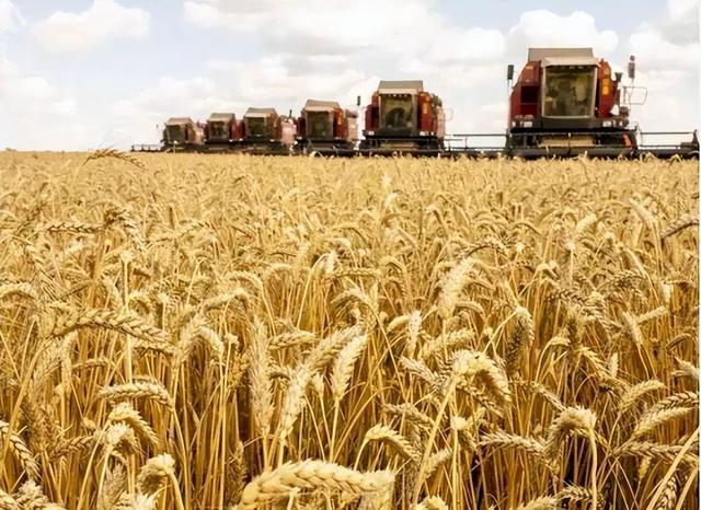 中方说话算话，美农业代表刚见完李成钢，12万吨美国小麦运往中国