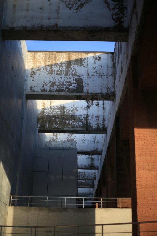 毕业八年，再回建大