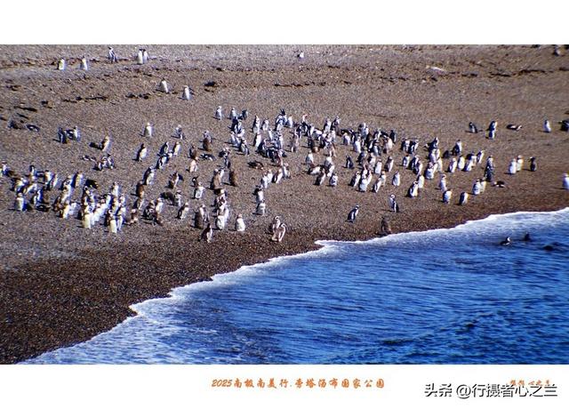 南极南美三国行游影记（79）—阿根廷旁塔汤布国家公园（六）