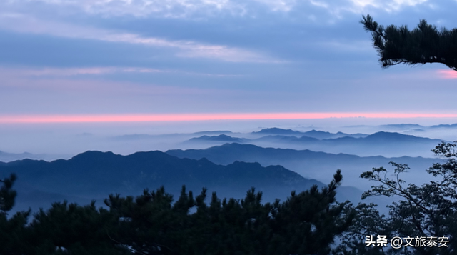 爆火！顶流！限时！这个七夕周末，泰安最值得去的三处心动坐标必打卡！