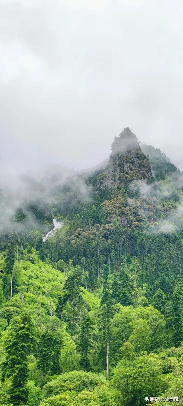 一路太多美景！离开浪浪山，去西藏这里开启一场山野漫游！