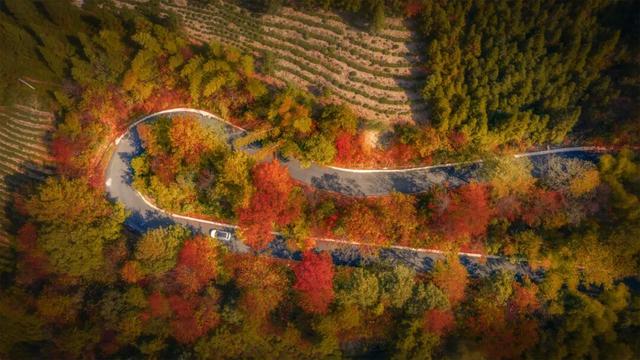 跟着赛事去旅行，沿着赛道解锁石台秘境，感受原生态山乡魅力