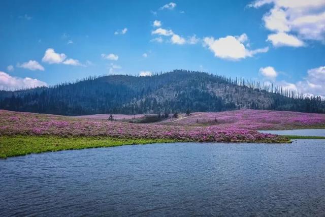 还没结束的花事，槽点太多了！