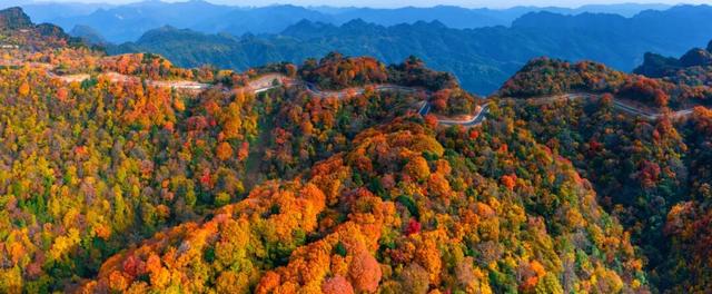 广元不远 周末优选 | 初露染山河，广元发来一份秋日邀请函