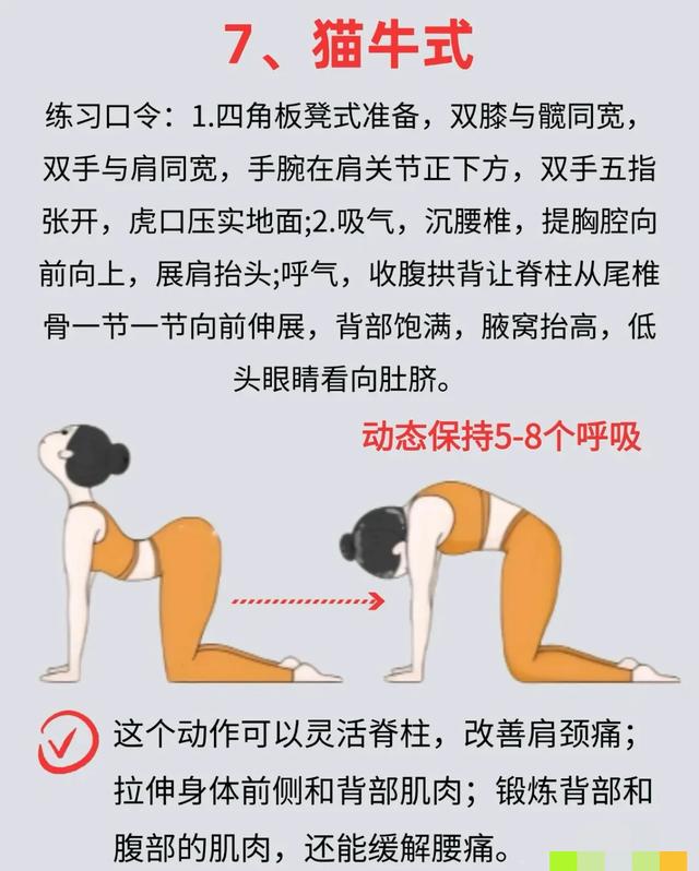 代谢开挂攻略：10个动作专治中年胖，赘肉自己“连夜跑”！