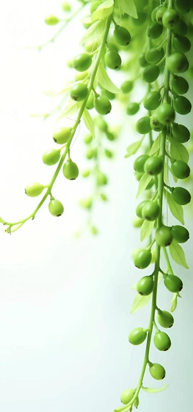 #治愈系风景 #美景 #风景画