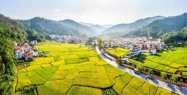 秋日限定！速来围观肇庆的绝美风光~