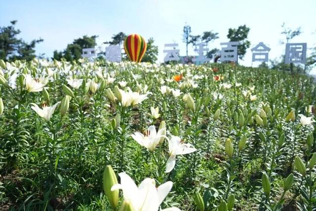 速冲！5省免门票，这个9月天蒙山杀疯了！
