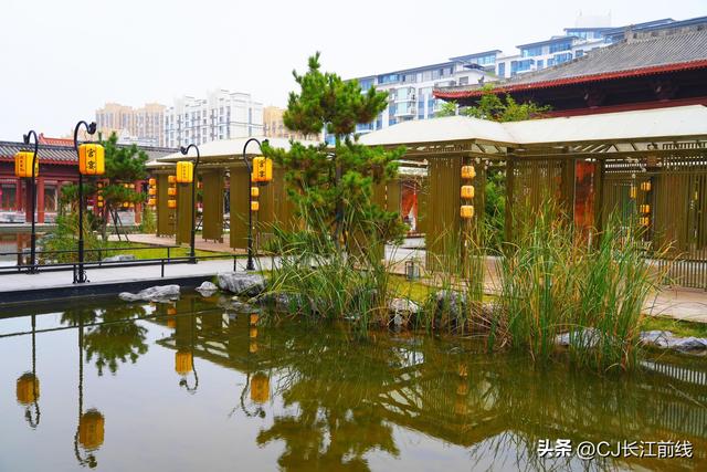 河南淮滨：重阳节里秋景美如画