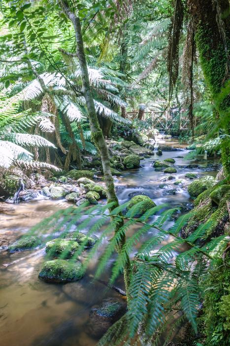 贵州最被低估的世界自然遗产，比九寨沟更原始，知道的人不到1%