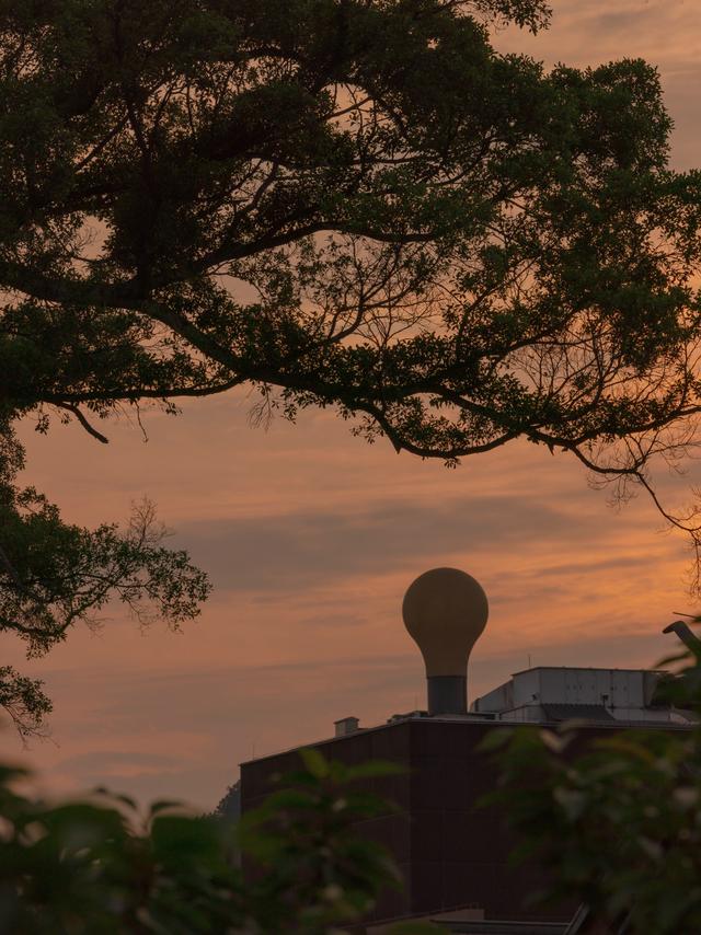 这个冷门赣南小镇，一到秋天满是橙香🍊
