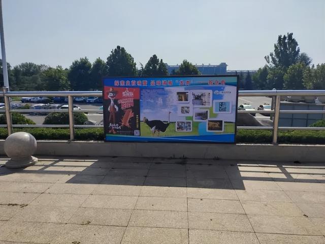 诸城文旅宣传矩阵“点亮”火车站｜全域旅游宣传再升级，邀您共游“中国龙城”