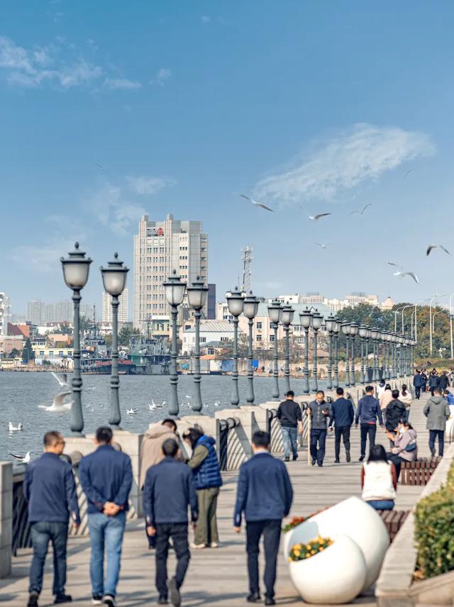 “顶流”来了!快来泰达“鸥”遇