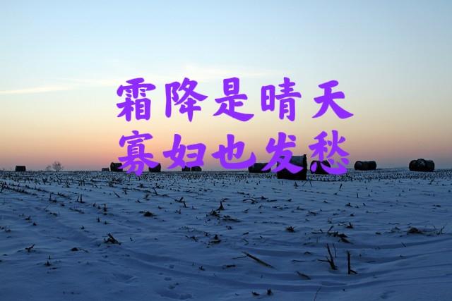 今日霜降，老话“霜降是晴天	，寡妇也发愁	”，霜降晴天有啥预兆？