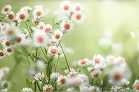 别太高估亲戚关系，亲戚关系，其实都很凉薄图片