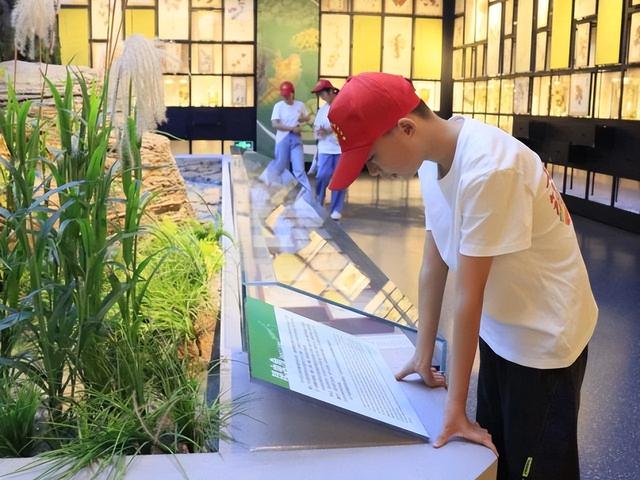 科技探秘、文化寻根、诗意赏湖……这场公益夏令营，带领青少年解锁成长新体验