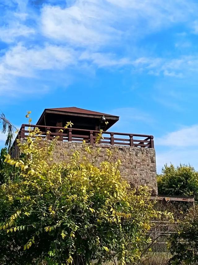 美美Sunday ~赏临港湿地秋景！