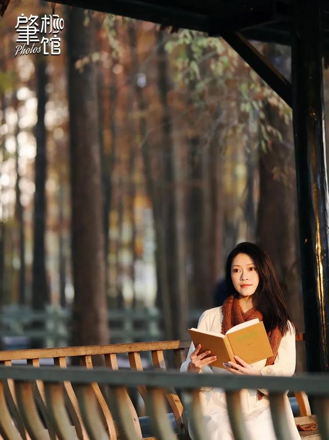 期待！七星岩落羽杉即将“变装”→