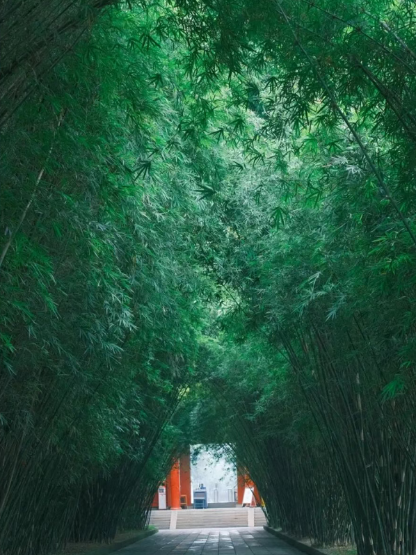 成都公园的中式美学也太绝了，这波必须狠狠夸！