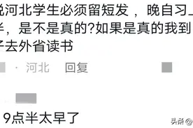 河北欠所有女孩子一个漂漂亮亮的高马尾图片