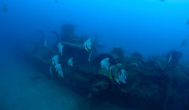 日本十大潜水圣地:潜点特色与难易度总整理