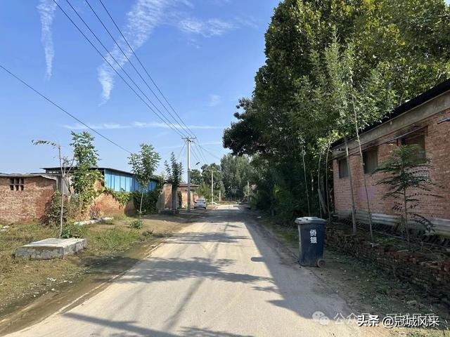 冠县乡韵·兰沃乡大柳邵村