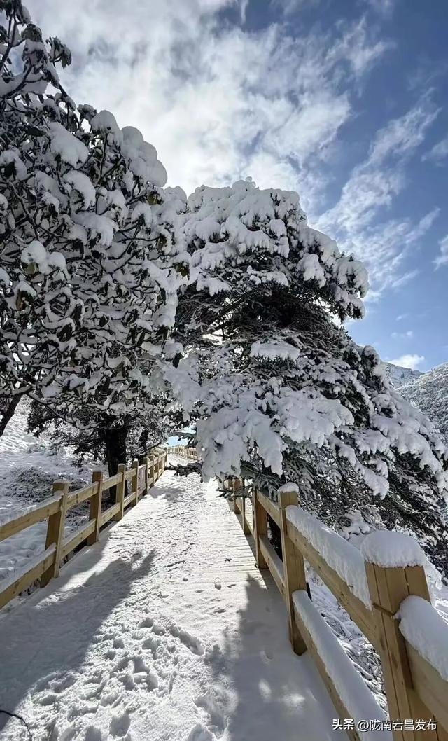 陇原赏秋韵，冬游官鹅沟