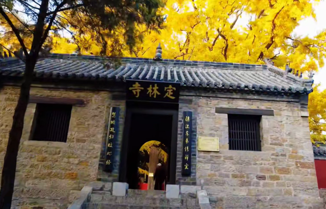 山东低调的4A景区，有棵4000年银杏树，被誉为“天下银杏第一树”