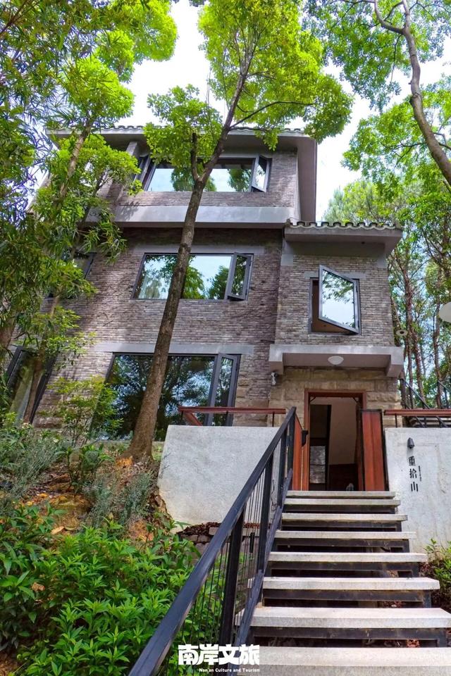 离不开的南岸 | 我在262.41平方公里的“家”里，一觉醒来！