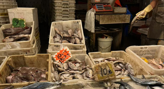 冷冻花胶多少钱一斤 2026年冷冻花胶多少钱一斤合适