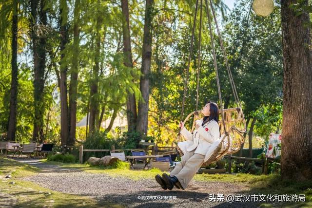 直冲20°C！武汉赏秋天花板，上新3个玩法