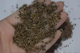 再厉害的皮肤病也怕这4个药，助力止痒，治疗湿疹、荨麻疹、皮炎图片