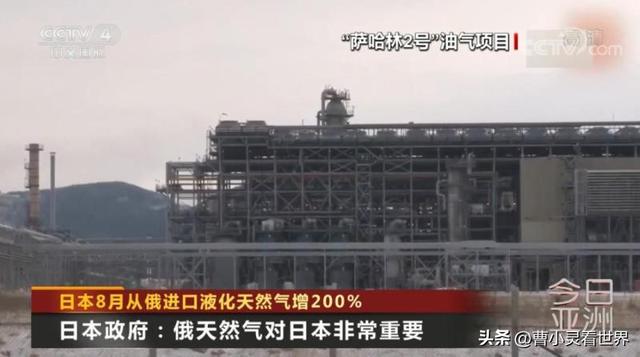 上合峰会将有何看点