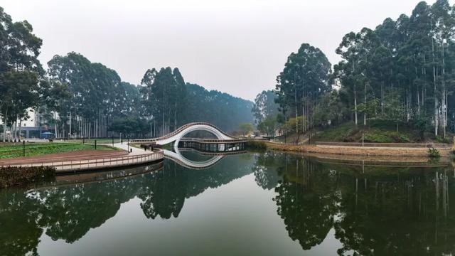 晒太阳~从从容容逛公园赏美景