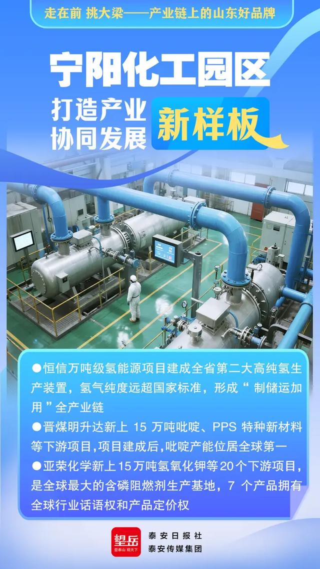 走在前 挑大梁——产业链上的山东好品牌丨望岳AI海报·宁阳化工园区打造产业协同发展新样板