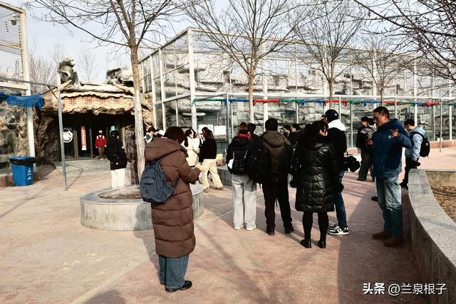 国宝百日庆·萌兽迎新年 兰州野生动物园邀您共赴自然之约