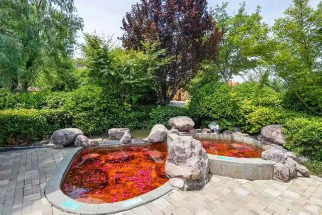 降温天的终极浪漫，是泡进一池温泉里