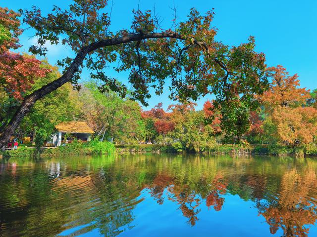 又见天平山：一叶知秋，一枫醉心