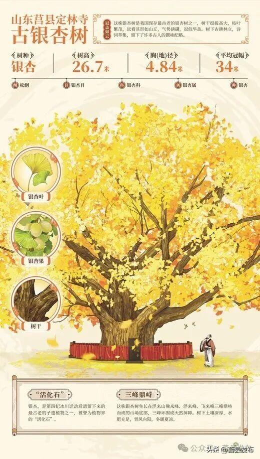 今天，人民日报点赞莒县！