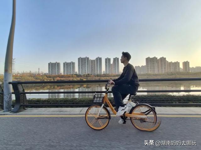 不用去南京，长沙也藏着 “梧桐秘境”！遛娃拍照美到窒息！