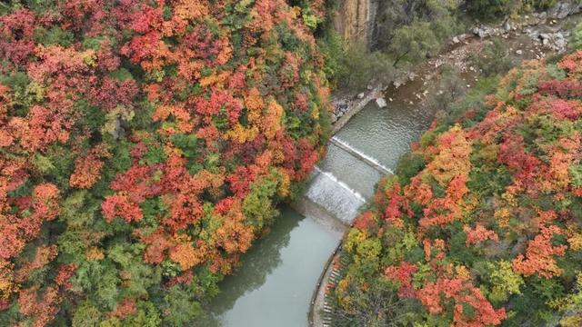 这才是秋天该有的样子~